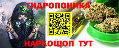 бошки Ставрополь