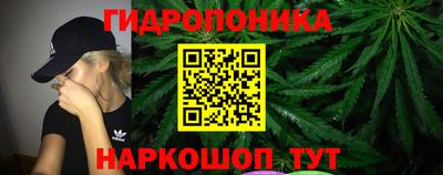 бошки Ставрополь