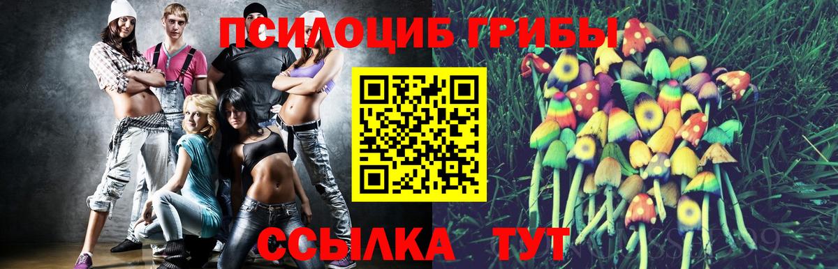 Псилоцибиновые грибы прущие грибы Новозыбков