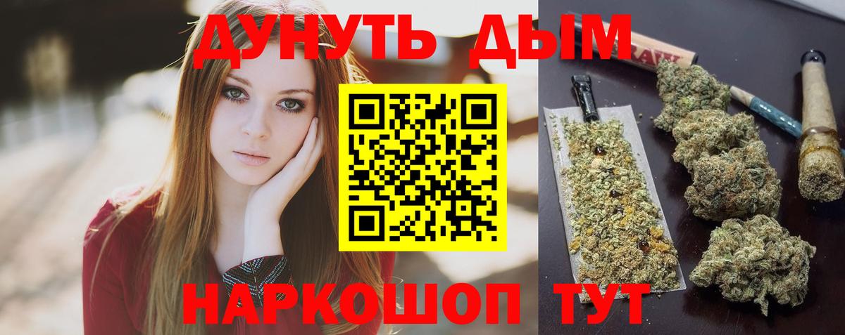 Новозыбков  Марихуана тримм  Вход с VPN  Каннабис гибрид  Каннабис план  Канабис THC 21% 